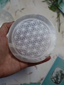 1669233098388 rotated