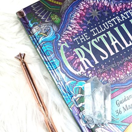 1758812478129 1758812478129